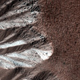 Illustration for article titled These Stunning New Photos of Mars Are Weirdly Earth-Like